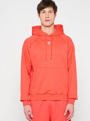 Obrázek produktu Mikina s kapucí Nike Performance
