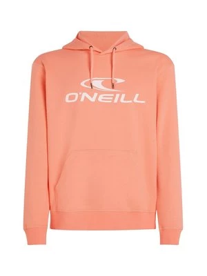 Obrázek produktu Mikina s kapucí O'Neill