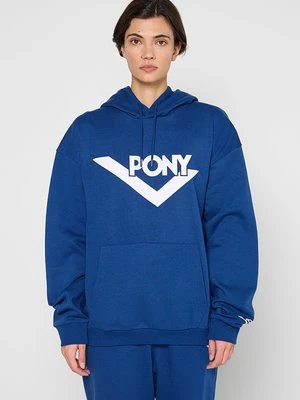 Obrázek produktu Mikina s kapucí Pony