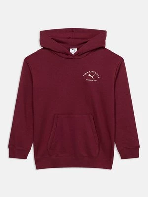 Obrázek produktu Mikina s kapucí Puma