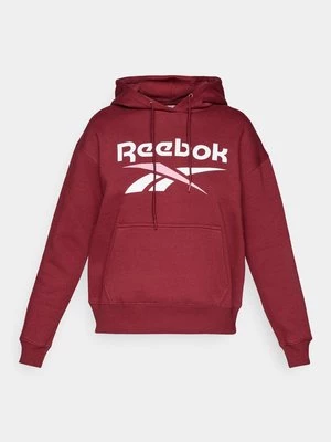 Obrázek produktu Mikina s kapucí Reebok