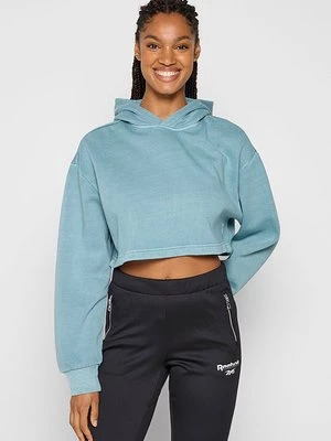 Obrázek produktu Mikina s kapucí Reebok Classic
