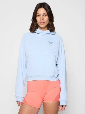 Obrázek produktu Mikina s kapucí Reebok Classic