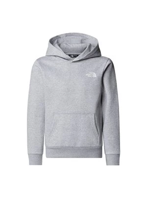 Obrázek produktu Mikina s kapucí The North Face