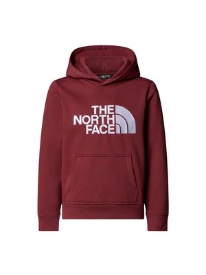 Obrázek produktu Mikina s kapucí The North Face