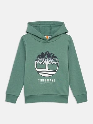 Obrázek produktu Mikina s kapucí Timberland