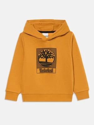 Obrázek produktu Mikina s kapucí Timberland