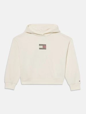 Obrázek produktu Mikina s kapucí Tommy Hilfiger