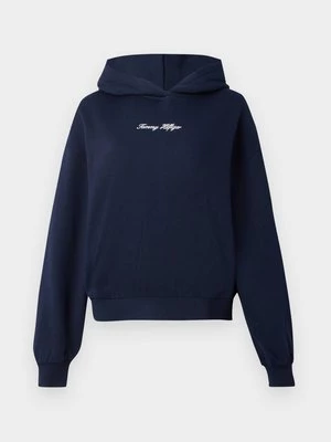 Obrázek produktu Mikina s kapucí Tommy Hilfiger