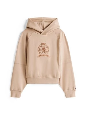 Obrázek produktu Mikina s kapucí Tommy Hilfiger