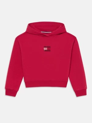 Obrázek produktu Mikina s kapucí Tommy Hilfiger