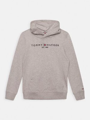 Obrázek produktu Mikina s kapucí Tommy Hilfiger