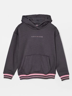 Obrázek produktu Mikina s kapucí Tommy Hilfiger