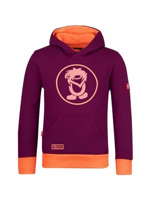 Obrázek produktu Mikina s kapucí Trollkids