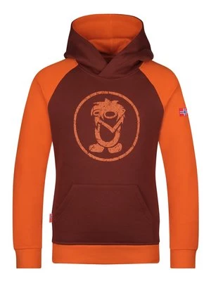Obrázek produktu Mikina s kapucí Trollkids