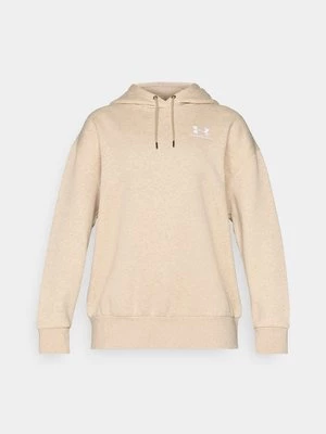 Obrázek produktu Mikina s kapucí Under Armour