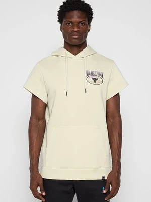 Obrázek produktu Mikina s kapucí Under Armour