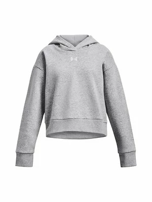 Obrázek produktu Mikina s kapucí Under Armour