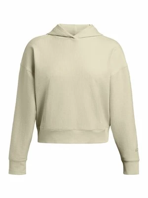 Obrázek produktu Mikina s kapucí Under Armour