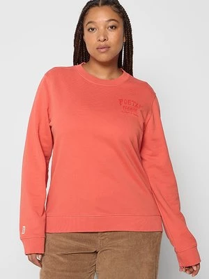 Obrázek produktu Mikina Scotch & Soda