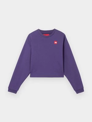 Obrázek produktu Mikina The North Face