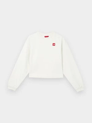 Obrázek produktu Mikina The North Face