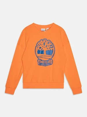 Obrázek produktu Mikina Timberland