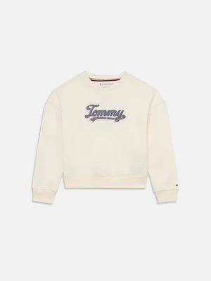 Obrázek produktu Mikina Tommy Hilfiger