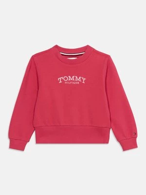 Obrázek produktu Mikina Tommy Hilfiger