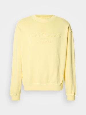 Obrázek produktu Mikina Tommy Jeans