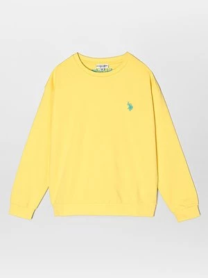 Obrázek produktu Mikina U.S. Polo Assn.