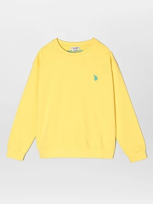 Obrázek produktu Mikina U.S. Polo Assn.