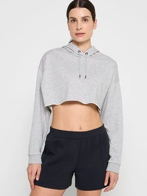 Obrázek produktu Mikina Under Armour
