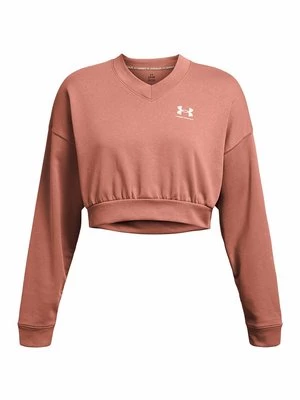 Obrázek produktu Mikina Under Armour