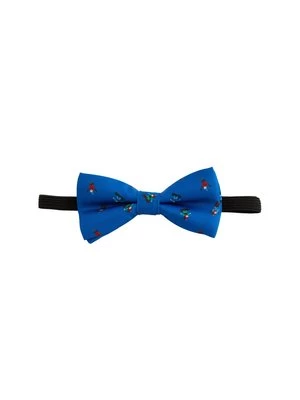 Obrázek produktu Motýlek WE Fashion