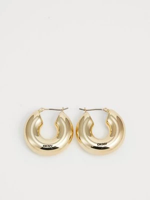 Obrázek produktu Náušnice DKNY