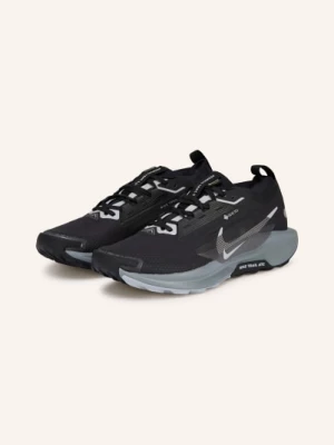 Obrázek produktu Nike Trailové Boty Pegasus Trail 5 Gtx černá / šedá