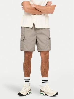 Obrázek produktu Only & Sons Sportovní kraťasy Kal 22034462 Béžová Slim Fit
