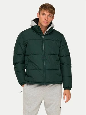 Obrázek produktu Only & Sons Zimní bunda 22025205 Zelená Regular Fit