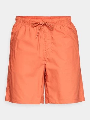 Obrázek produktu Outdoorové kraťasy Columbia