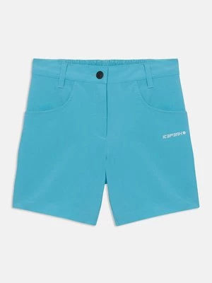 Obrázek produktu Outdoorové kraťasy icepeak
