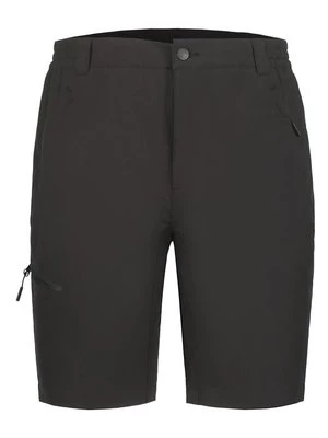 Obrázek produktu Outdoorové kraťasy icepeak