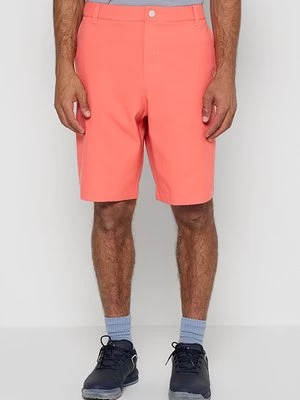 Obrázek produktu Outdoorové kraťasy Puma Golf