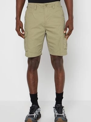Obrázek produktu Outdoorové kraťasy Quiksilver