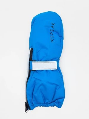 Obrázek produktu Palčáky icepeak