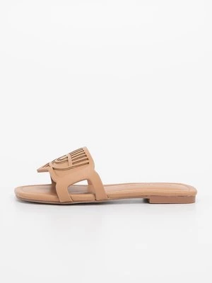 Obrázek produktu Pantofle Chiara Ferragni hnědá