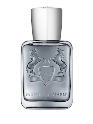 Obrázek produktu Parfums De Marly Castley Eau de Parfum 75 ml