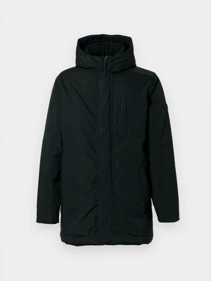 Obrázek produktu Parka Hollister Co.