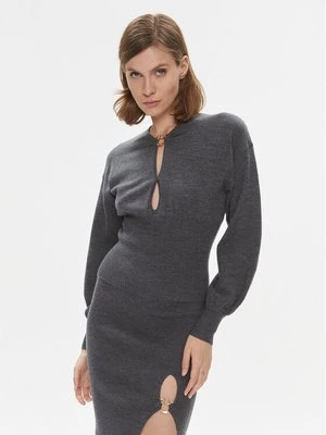 Obrázek produktu Pinko Svetr Chioccia 101848 A15S Šedá Regular Fit