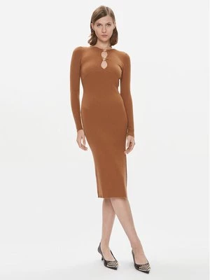 Obrázek produktu Pinko Úpletové šaty Leone 101845 A15S Hnědá Slim Fit